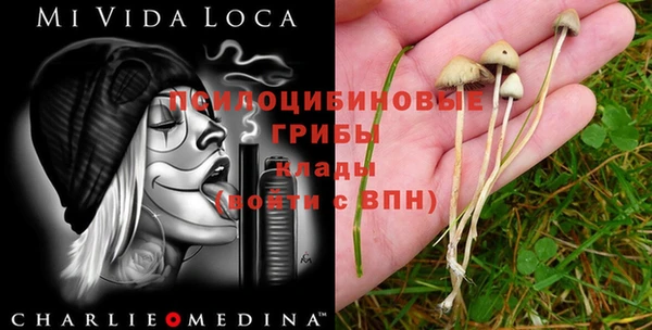 амф Абдулино